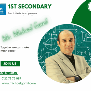1St Sec. Geo. Similarity of polygons